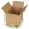 biodegradable storage boxes with multi depth